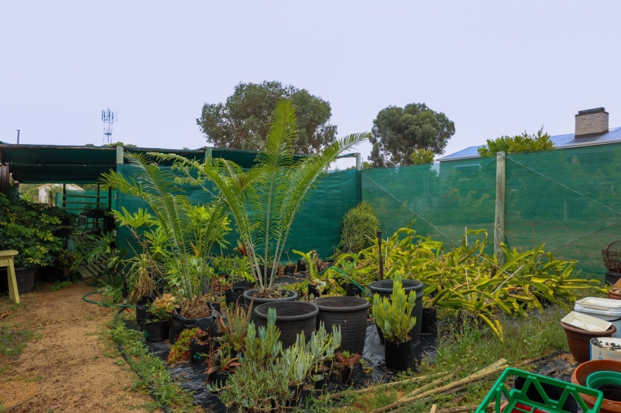 2 Bedroom Property for Sale in Darling Western Cape